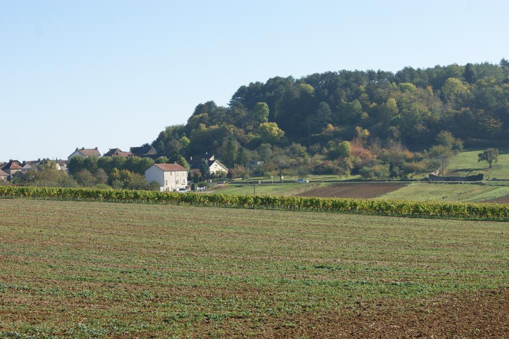 Le Verger Des Hautes-Cotes De Nuits Villers-la-Faye Exteriör bild